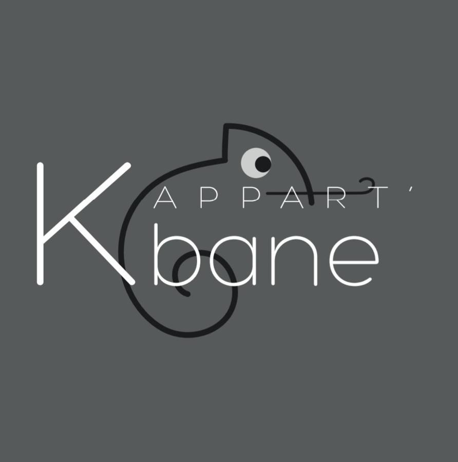 L'Appart K-Bane- Wifi Fibre- Checkin Auto- 2 Pers Le Mans Exterior photo